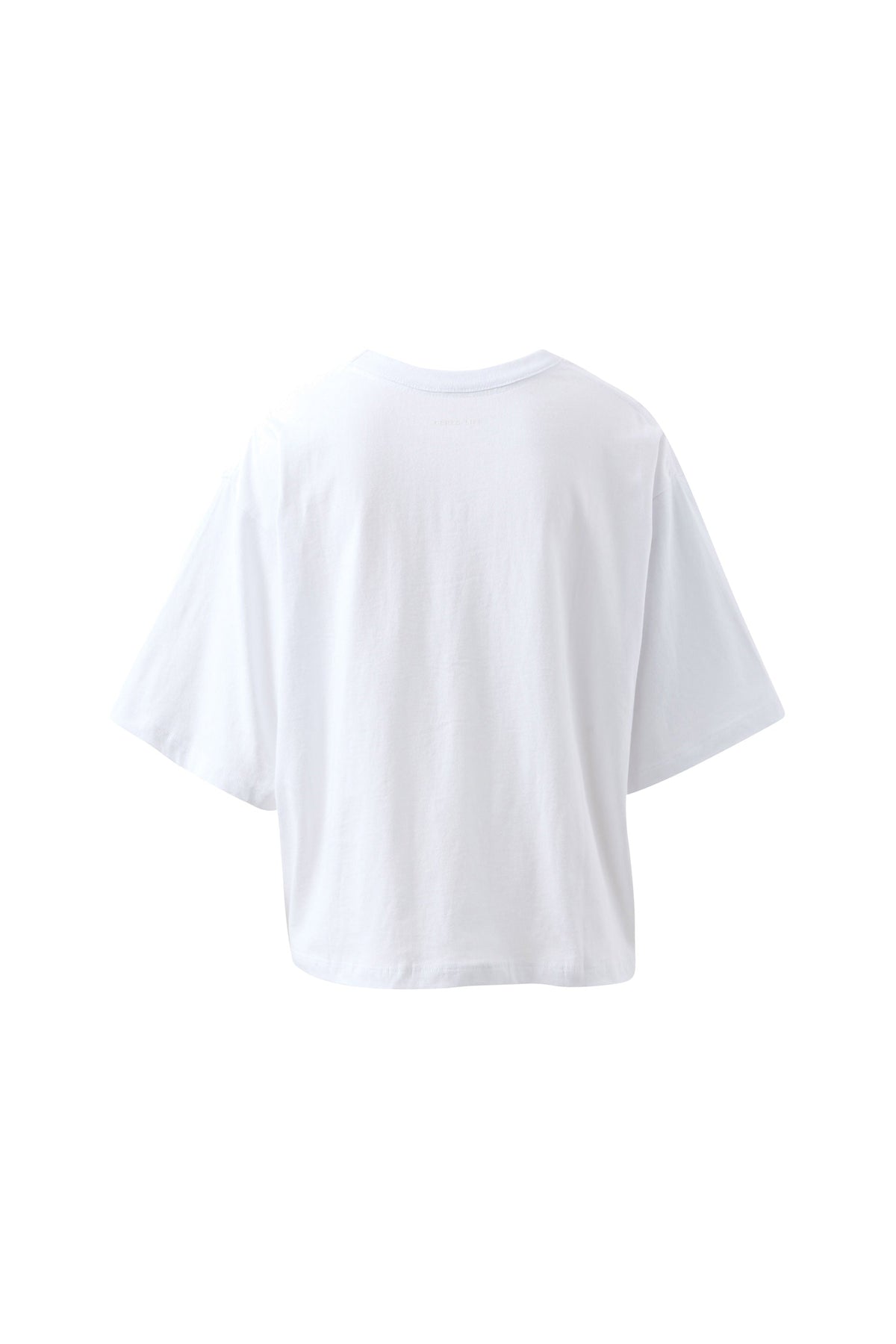 Back | ghost