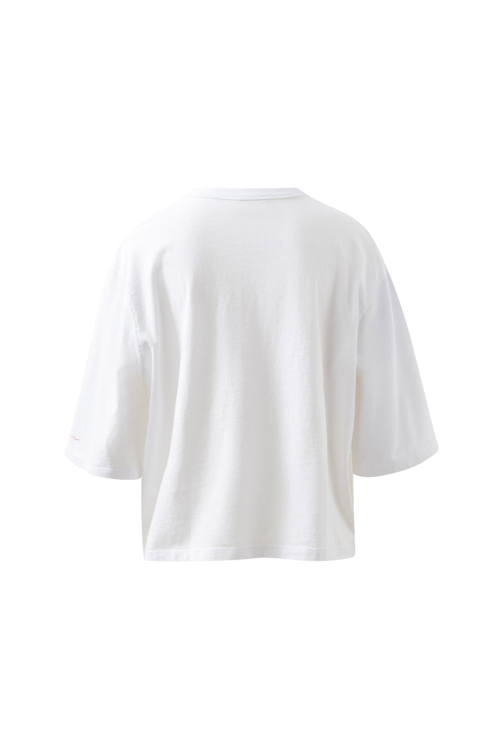 Back | ghost