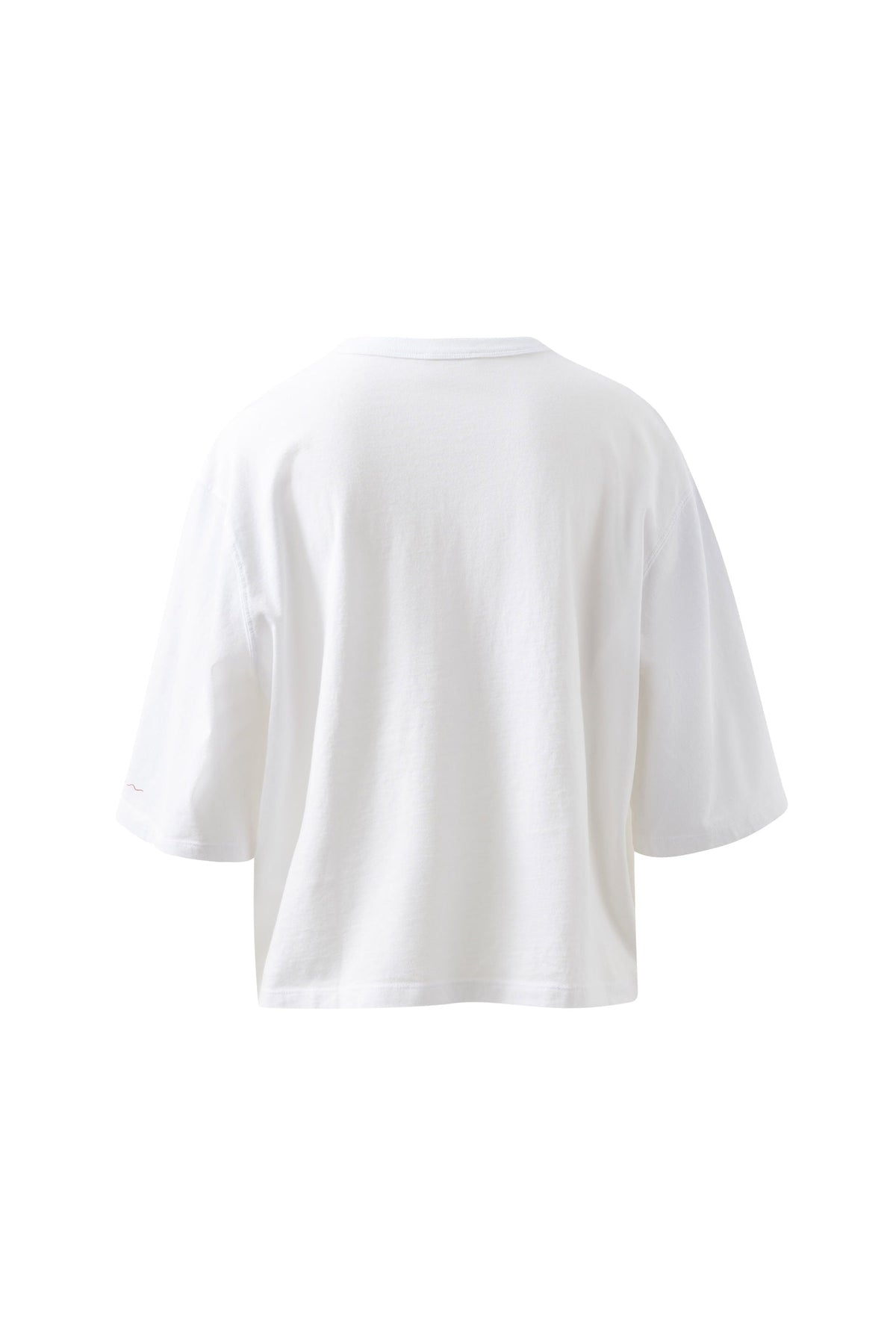Back | ghost