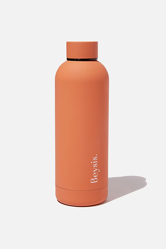 beysis water bottle review