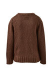 Sage Chunky Knit Crew, CHOCOLATE - alternate image 3