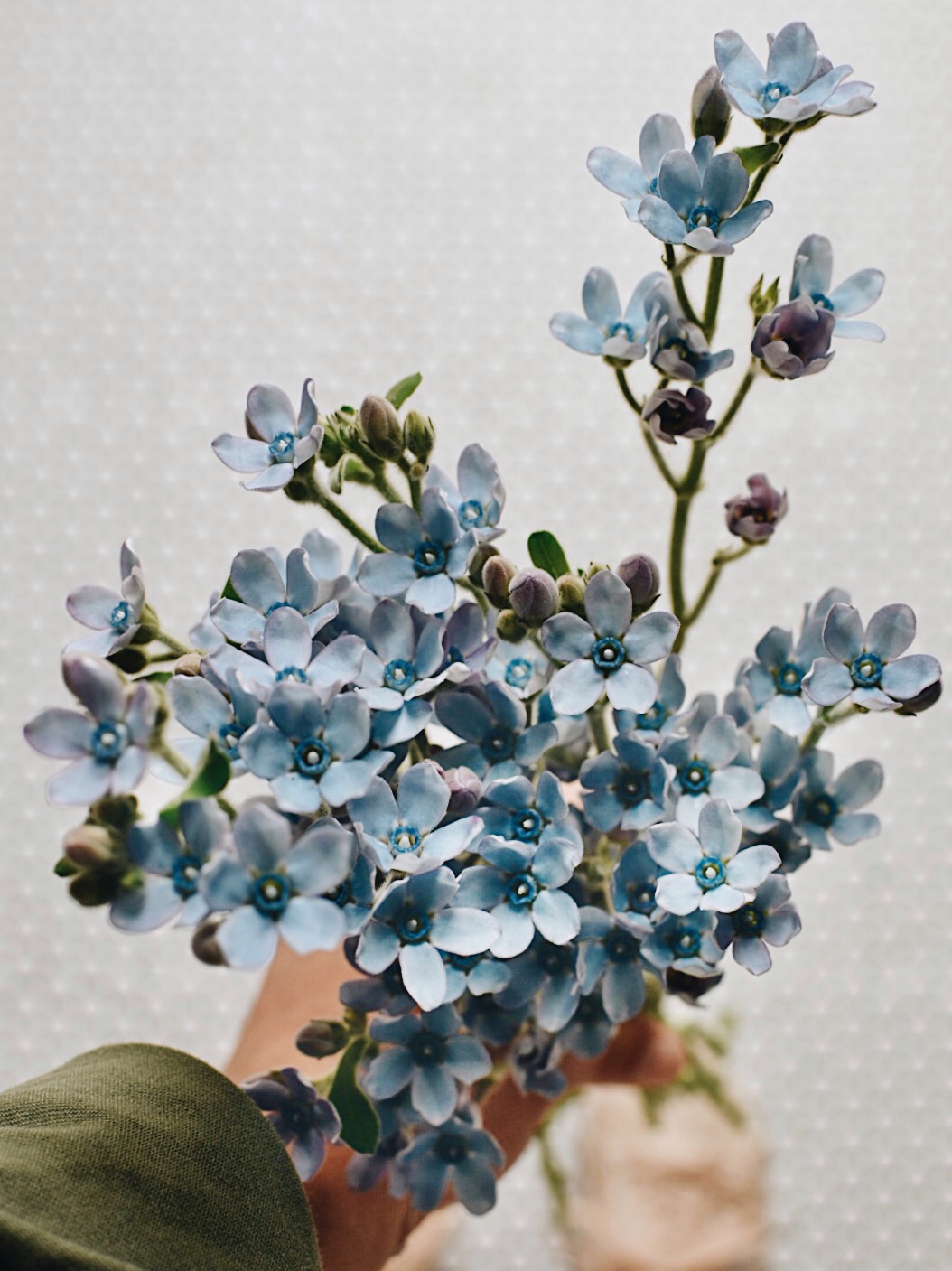 Ceres Life Blog 5 Simple Flower Arranging Tips