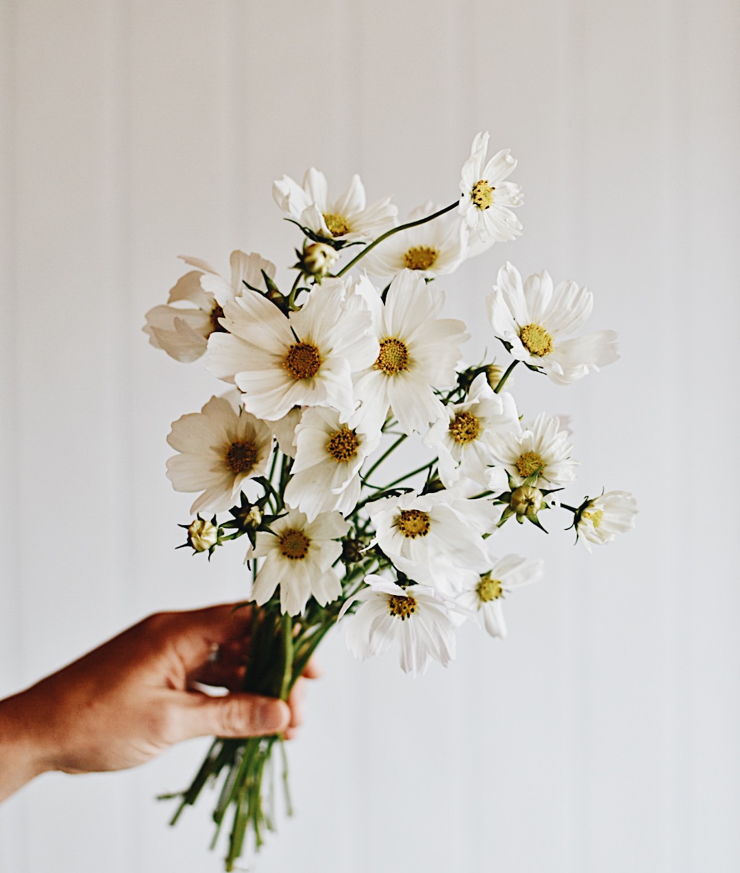 Ceres Life Blog 5 Simple Flower Arranging Tips
