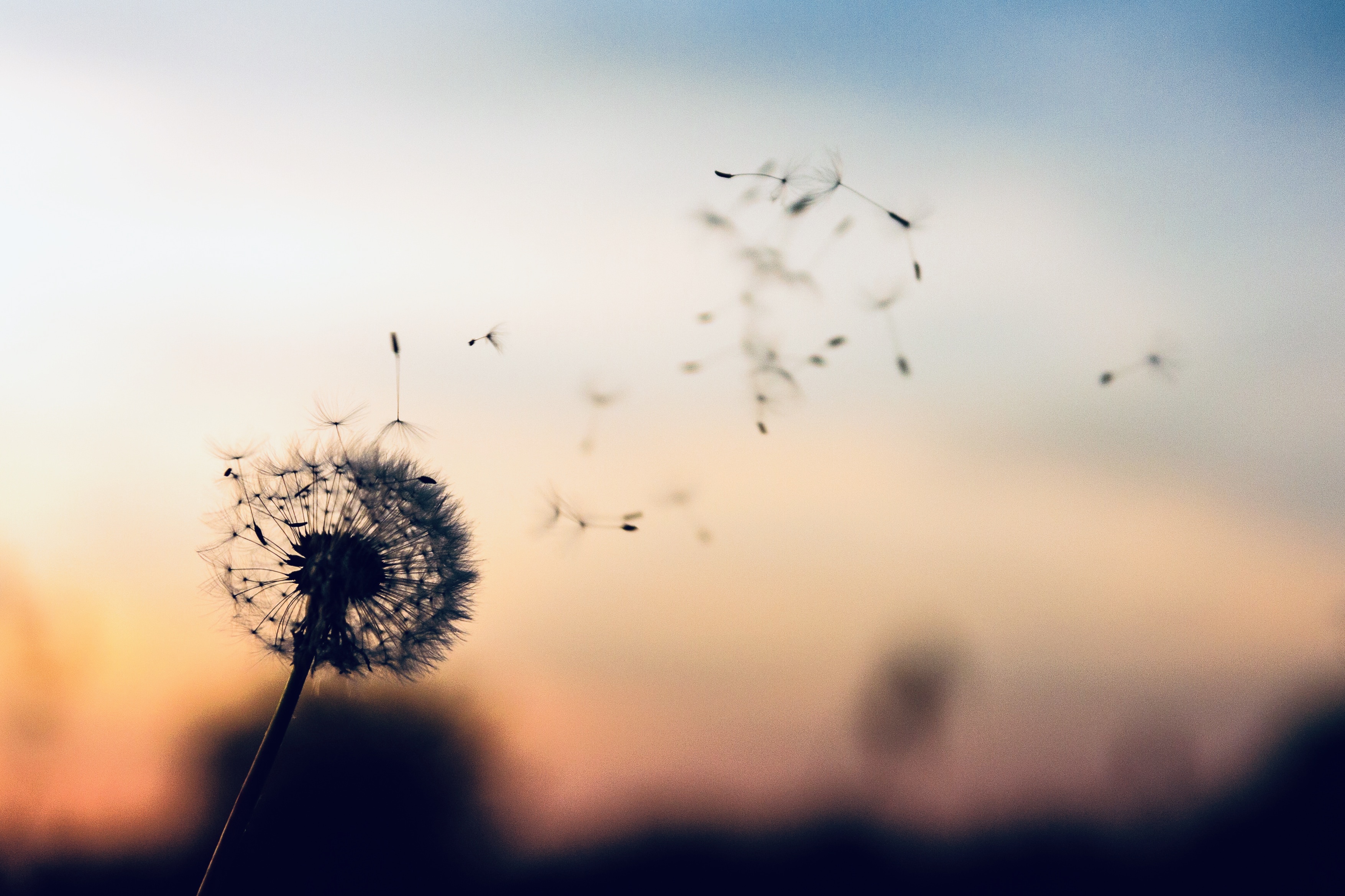 Ceres Life Blog 5 Ways to Support you Through Challenging Times