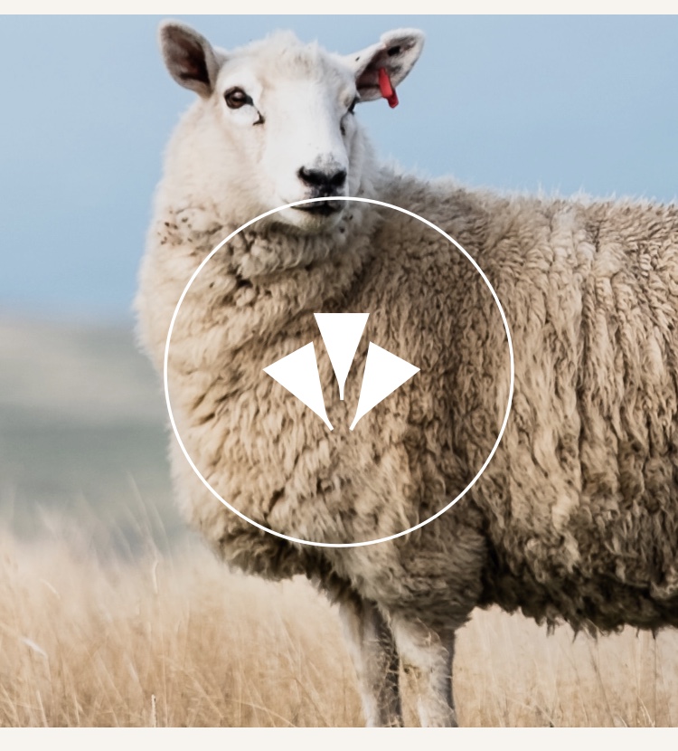 Natural Fibres.