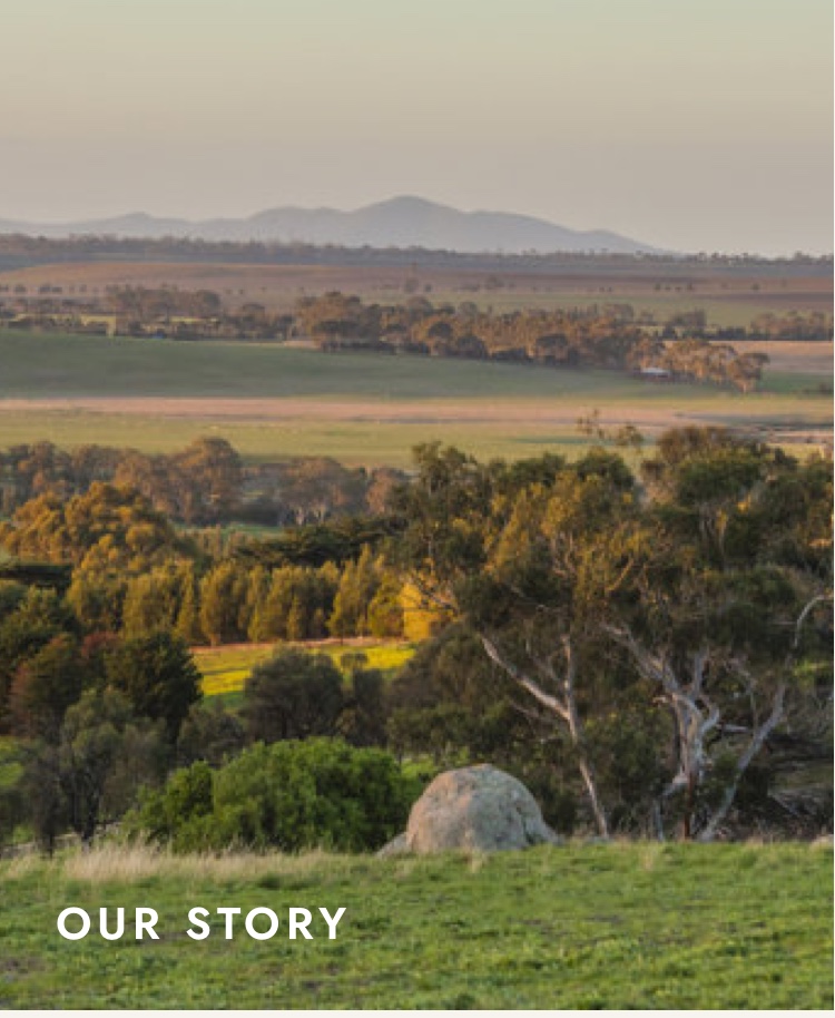 Our story begins...
