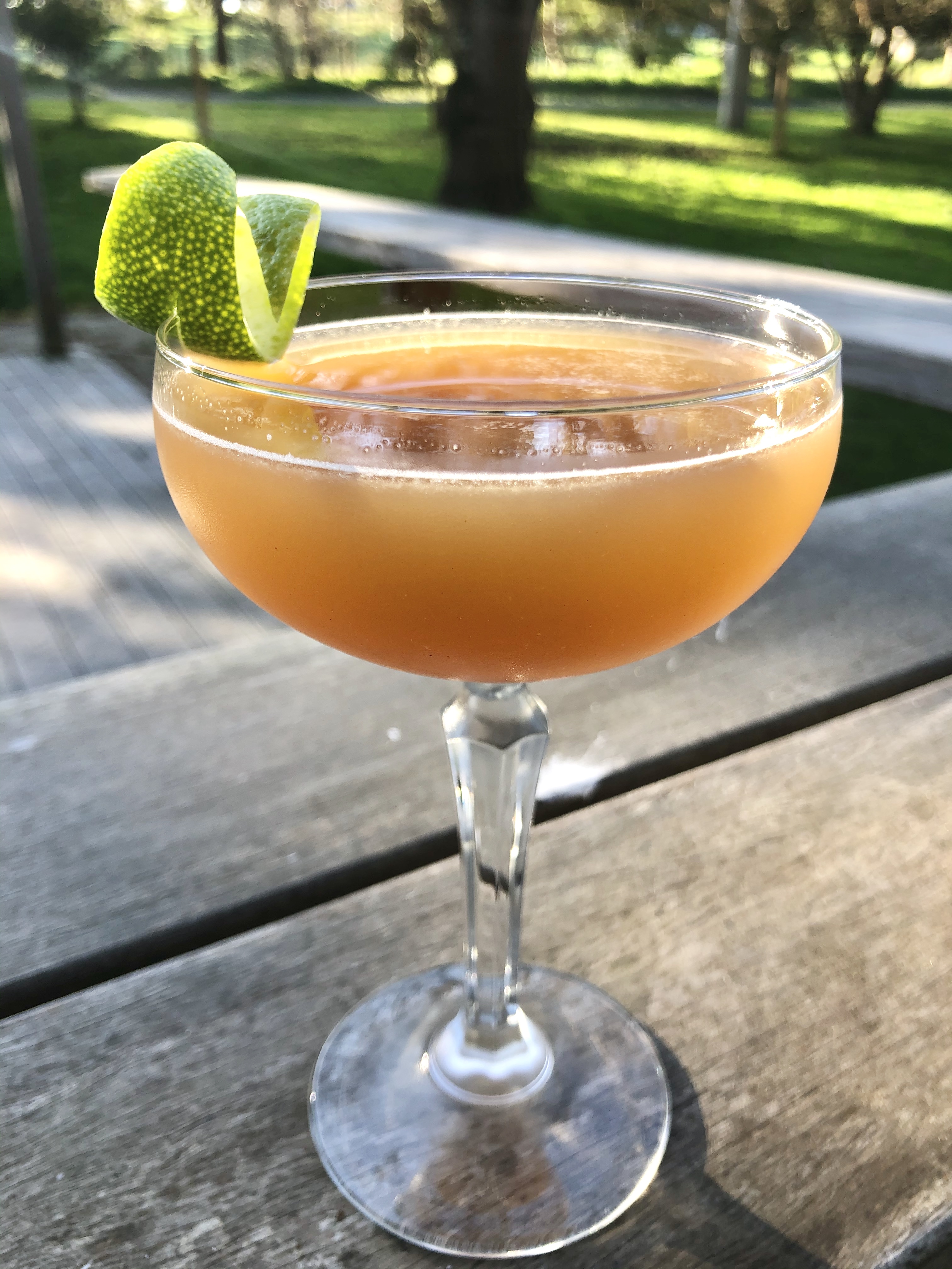 Cozy Rosey Winter Cocktail 