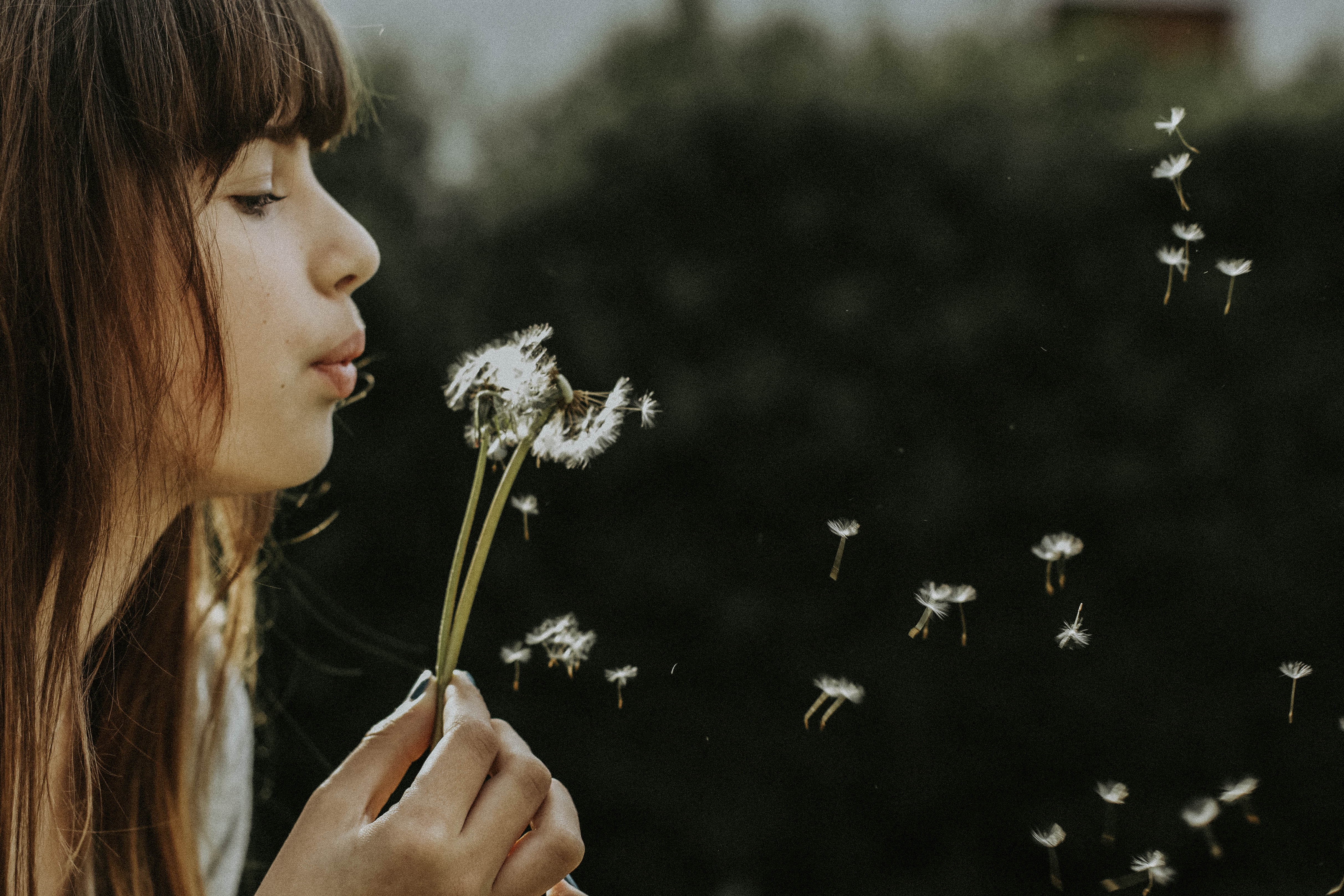 Ceres Life Blog 17 4 Ways to Build Your Emotional Muscle